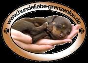 Hundeliebe-grenzenlos e.V.