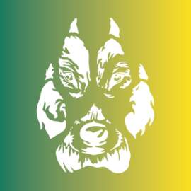 Wolfs Rudel - mobile Hundeberatung