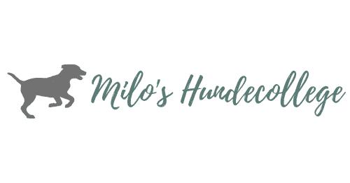 Milos Hundecollege