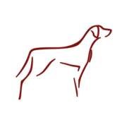 Hundeschule für alle Felle  in Weilheim
