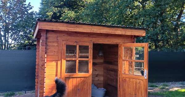 Hundepension Eichenhof Regine Lanz