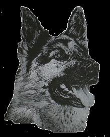 Schäferhundeverein OG Vienenburg