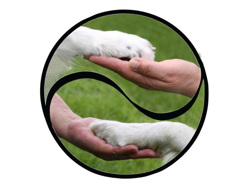 Hundeschule Klietz