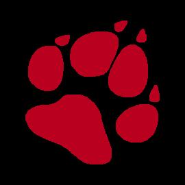 Hundesportverein "Pfote drauf!" e.V.