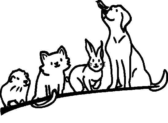 Tierarztpraxis Dr. Bortenlänger Tierarztpraxis für Kleintiere