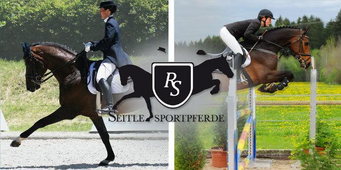 Richard Seitle Sportpferde Seitle