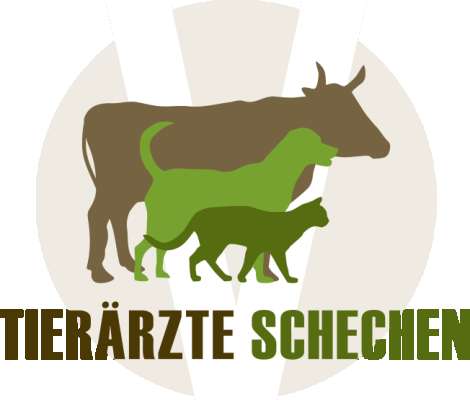 Braun Brock Dres. Mühlbauer Tierärzte