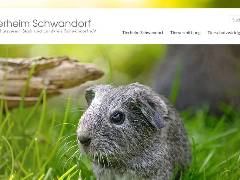 Tierschutzverein Stadt und Landkreis Schwandorf e.V.