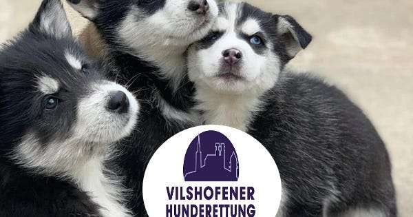 Vilshofener Hunderettung und Tiertafel e.V.