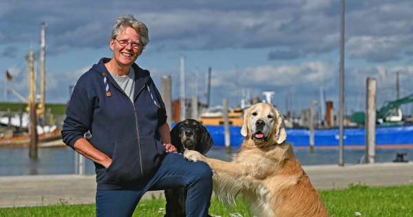 Hundeschule Buchin