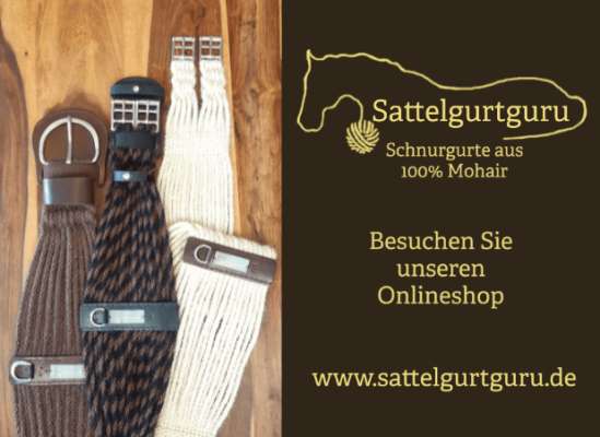 Meistersattlerei Carolin Holleber