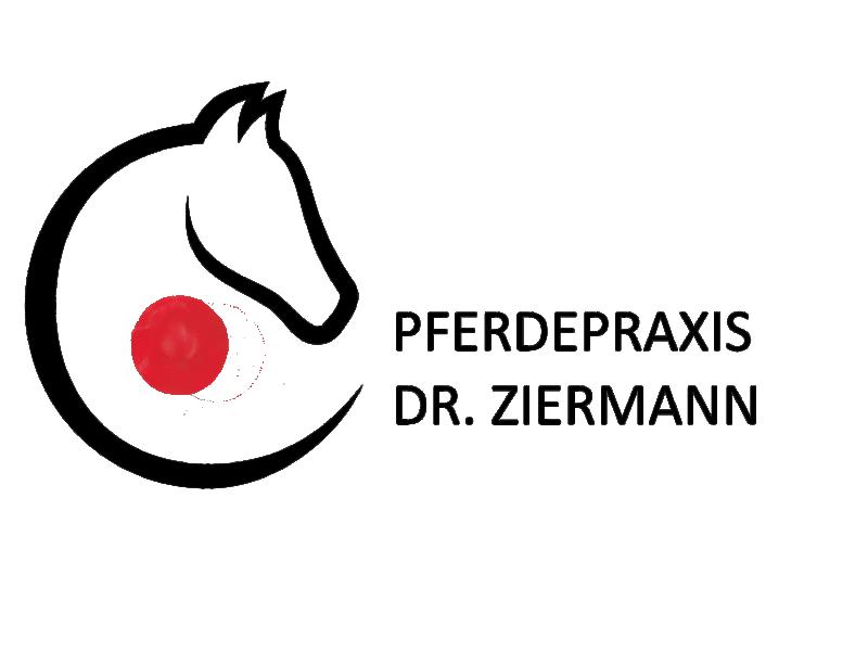 Dr. med. vet. Sandra Ziermann Fachtierärztin für Pferde