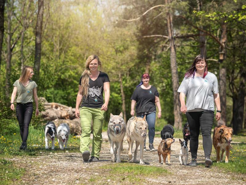 Die Hundespezl UG (haftungsbeschränkt)