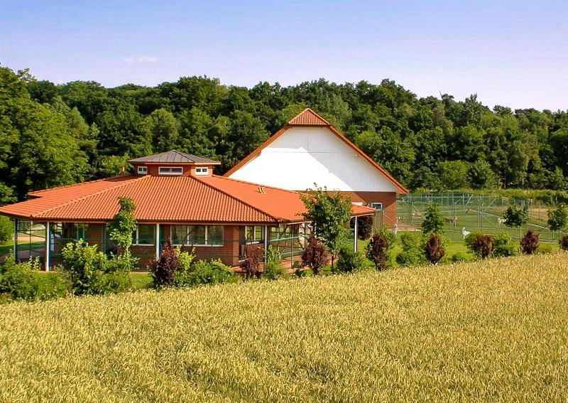 Hundeschule & Hunde- und Katzenhotel FIRST CLASS am Kiekutsee- Raymond Lütjohann