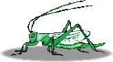 Keck Zoohandlung