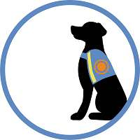 Hundeschule HUNDESACHE - Diabetikerwarnhund