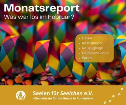 Seelen für Seelchen e. V.