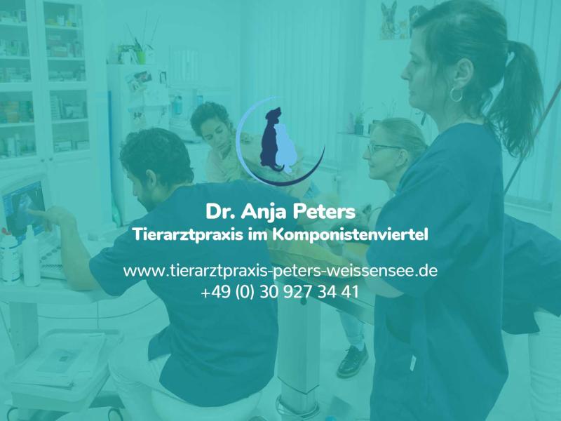 Dr. Anja Peters
