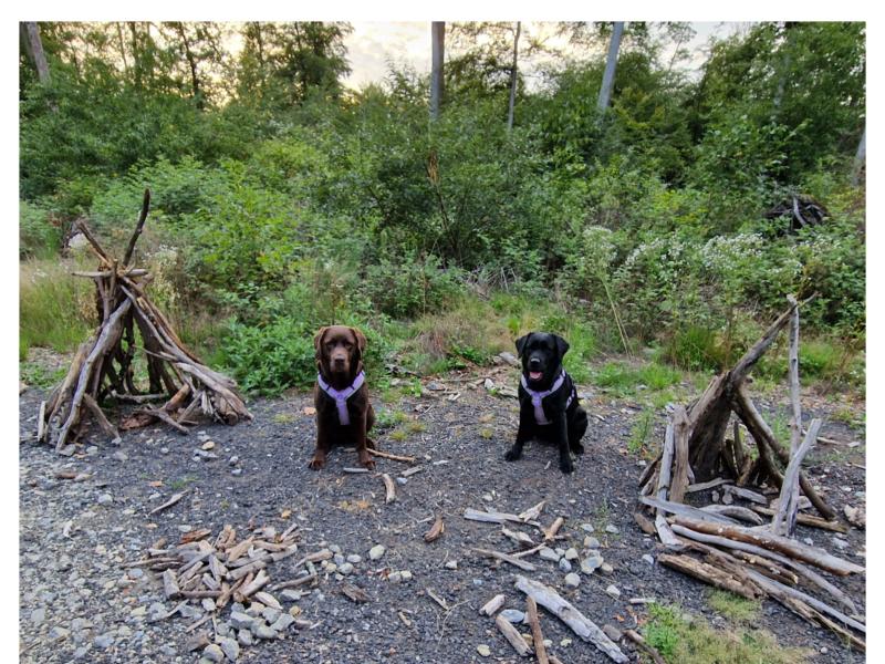 Schulhunde Bayern e.V.