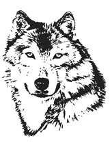 Kleintierpraxis Dr. med. vet. Volker Wolf Tierarzt Tierarzt