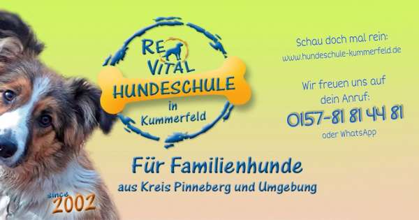 ReVital Hundeschule Ofterdinger