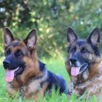 Simone und Giuseppe Iaconeta