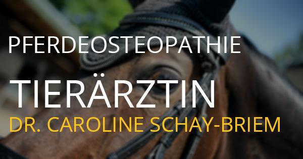 Caroline Schay-Briem Tierärztin