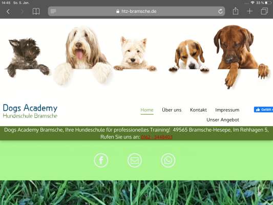 Dogs Academy Bramsche und Osnabrück