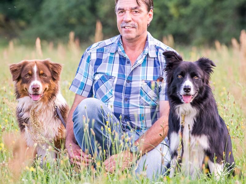 WDT Hundeschule / Mantrailer Fürth
