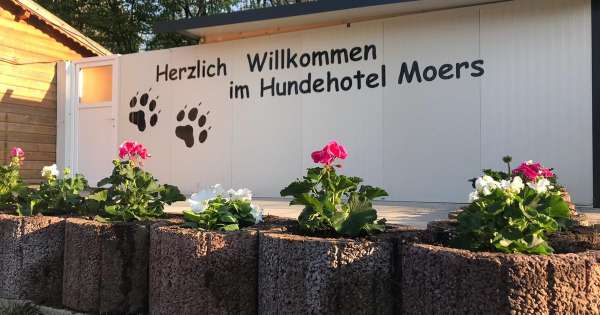 Hundehotel Moers