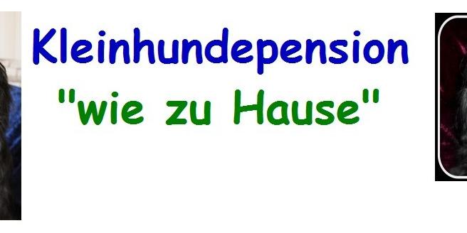 Kleinhundepension "wie zu Hause"