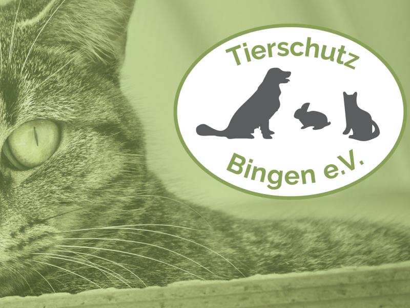 Tierschutz Bingen e.V