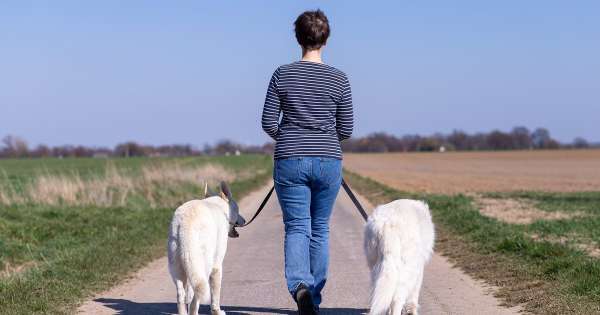 Best Buddys Hundeschule