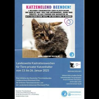 Tierheim u. Tierschutzverein Kreis Ahrweiler e.V.