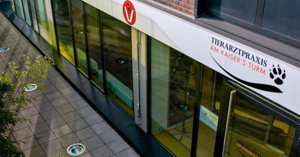 Haustier Dienstleistungs UG (haftungsbeschränkt)