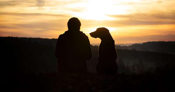 Hundeschule realation