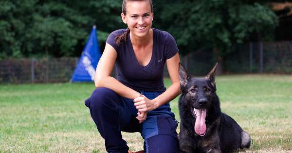 hundecoaching bail