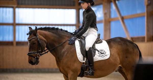 Reitsportgemeinschaft Royal Rosengarten e.V.