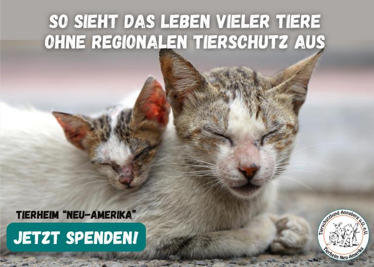 Tierschutzbund Annaberg und Umgebung e.V.