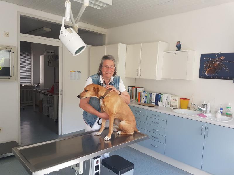 Dr. med. vet. Kathrin Wagner Kleintierpraxis
