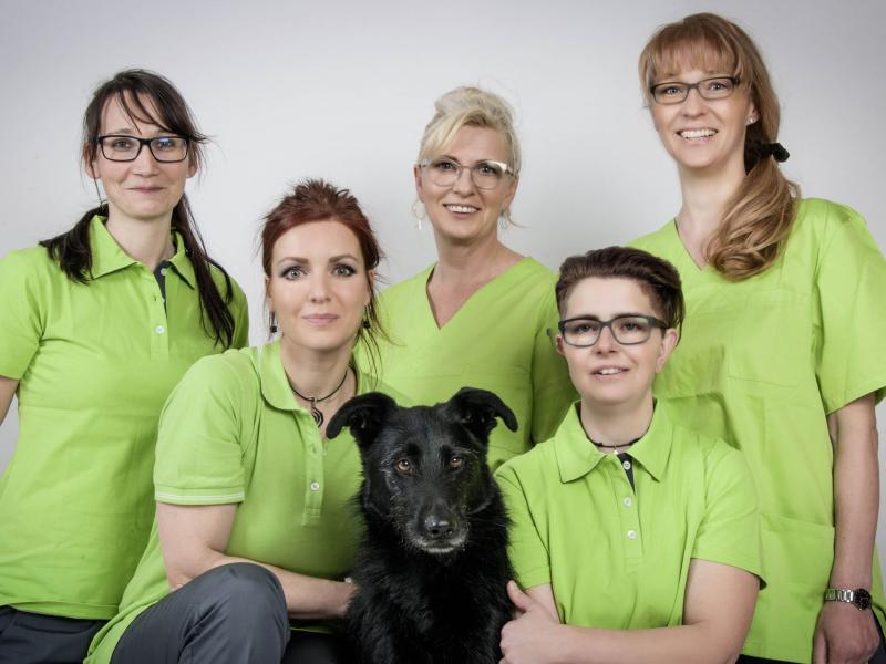Tierärztin Stephanie Franke GmbH