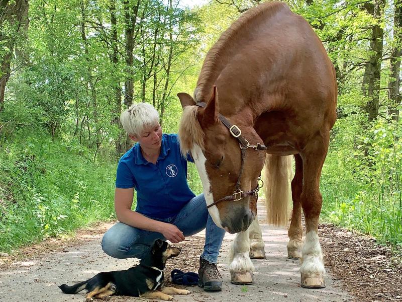 Diana Sandmann Tierheilpraktiker