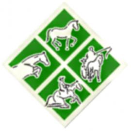 Reit- und Fahrverein Steinheim e.V.