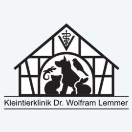 Dr. Wolfram Lemmer