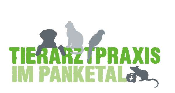 Tierarztpraxis mit Schwerpunkt Dermatologie - Hauttierärzte