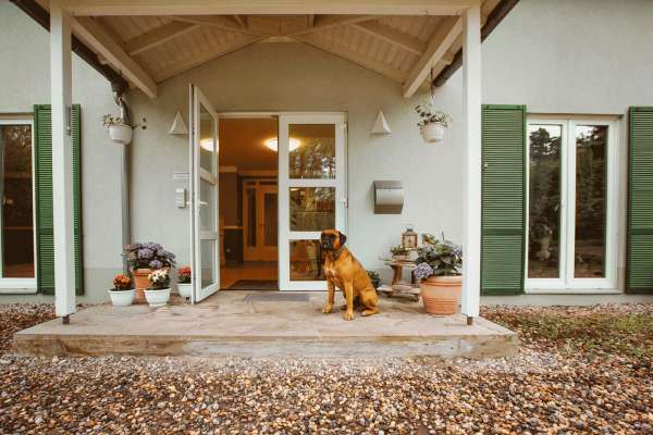Hunde Wald Hotel Karwe GbR
