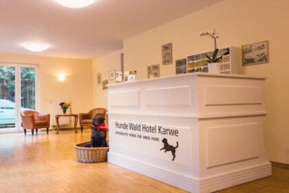 Hunde Wald Hotel Karwe GbR