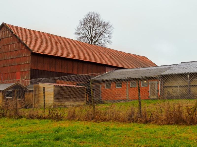 Katja Weber Tierpension