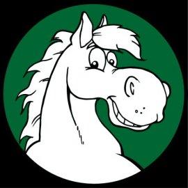 "Reitverein Greppin 1990" e.V.