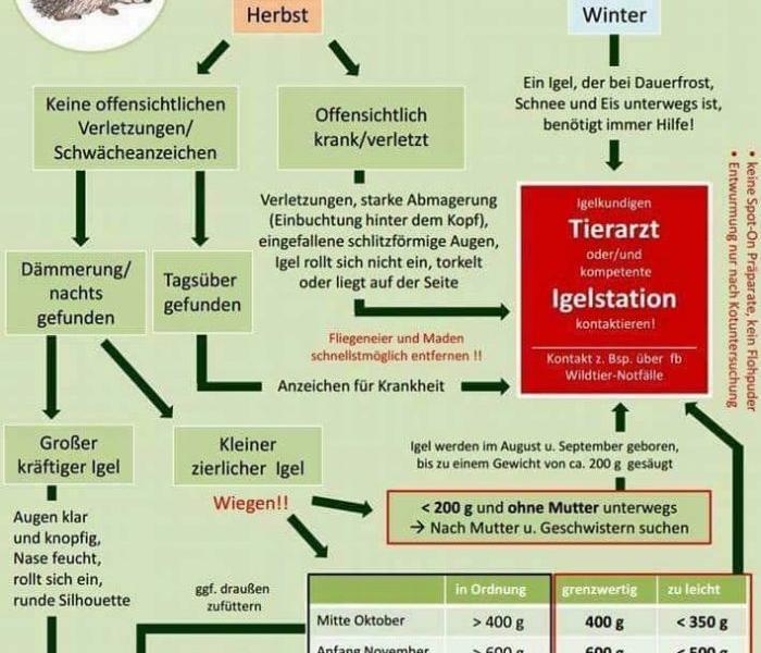 Nadine König, Dr. Andreas Veeser Tierärztliche Gemeinschaftspraxis